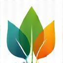 Symbol für Nachhaltigkeit - Blätter und CO2-Reduktion